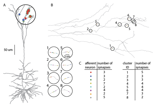 Clustering Figure